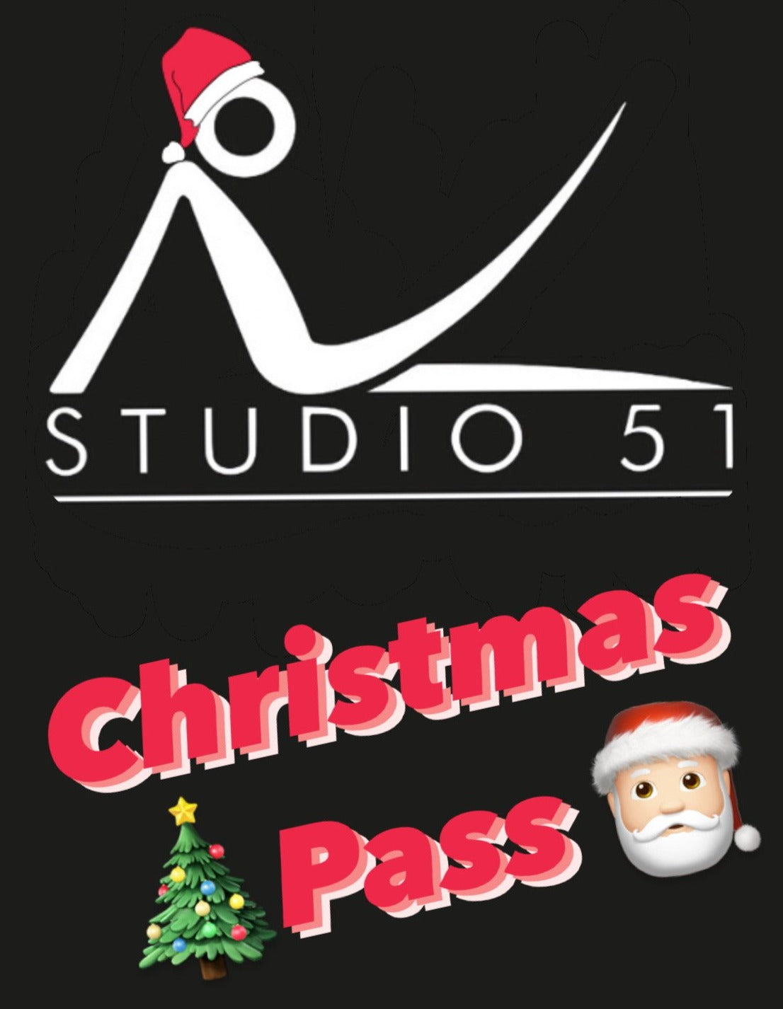 🎄CHRISTMAS PASS🎅🏻